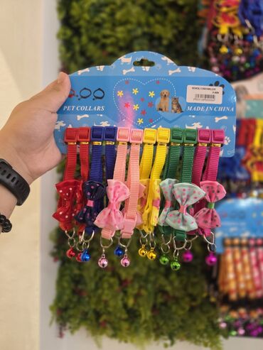 Xaltalar, qayışlar və tasmalar: Pişik və mini itlər üçün boyunbağılar. Taksilə çatdırılma xidmətimiz — 19