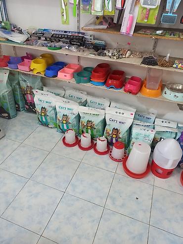 su qabi: Pişiklər və İtlər üçün qum qabıqları, Yem qabılari, Su qabılari — 5