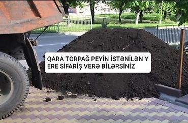 Bitki torpaqları: 070-915-99-05 - Meşə torpağı, qara torpaq və qazon altı torpaq. - — 5