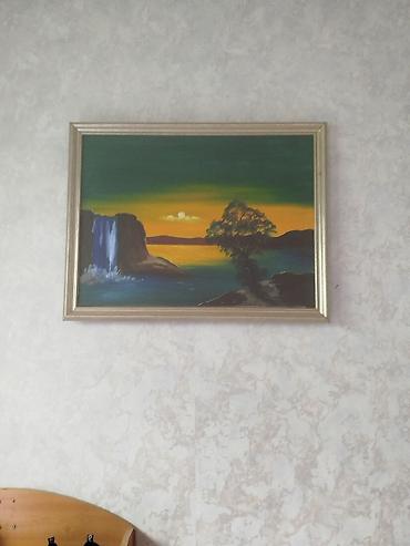 Tovuz quşları: Məhsul: Tovuzquşu (erkək) Təsvir: - Parlaq mavi boyun və döş, geniş — 10