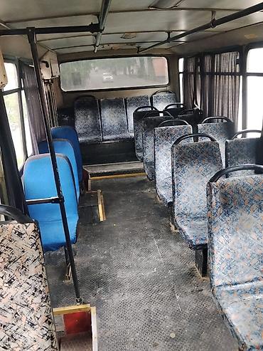 Sərnişin daşımaları: Avtobus, Gəncə - Gəncə, 22 Oturacaq — 8