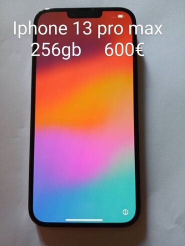 papuce i: Apple iPhone iPhone 13 Pro Max, 256 GB, Matte Silver