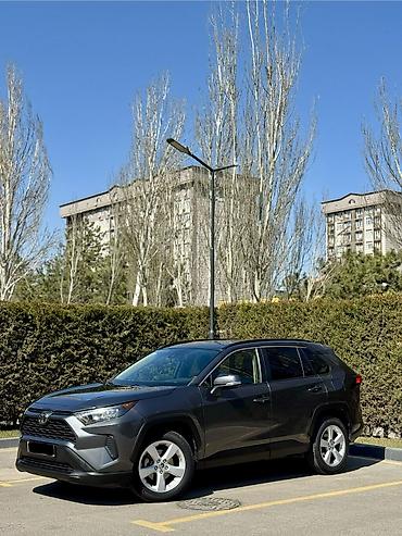 jps treker: Toyota RAV4: 2019 г., 2.5 л, Автомат, Бензин, Кроссовер — 3