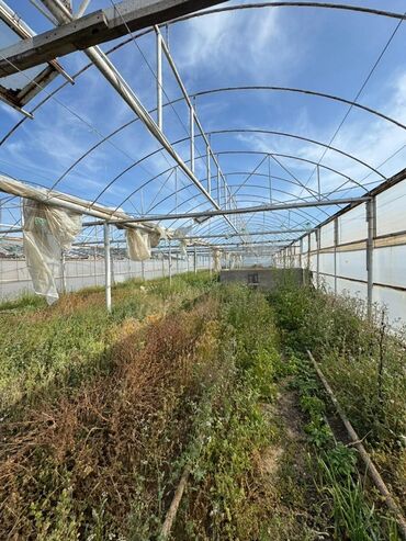 İstixanalar və parniklər: 📍 Satılır: metal lom qiymetine deyerinden cox ucuz Hazır İstixana — 10