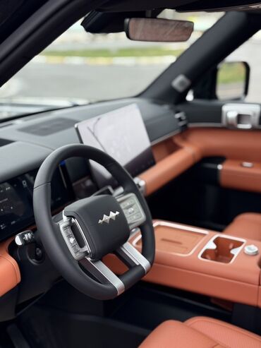 BYD: BYD : 2025 г., 1.5 л, Автомат, Гибрид, Внедорожник — 6