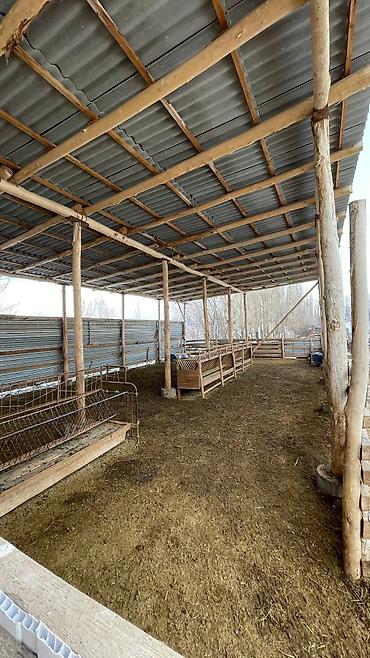 Продажа участков: 1000 соток, Для бизнеса, Красная книга — 13