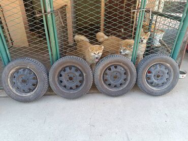 Gume i felne: Celicne felne sa gumama Opel 14 raspon rupa 4X100mm, centralna rupa — 8