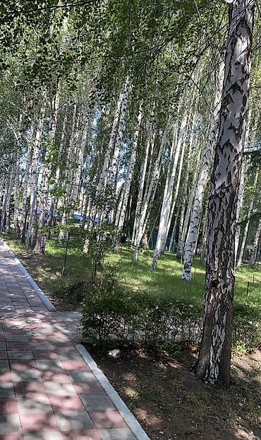 Недвижимость: Гостевой дом на Иссык-Куле, Park Hotel, Baytur Resort & Spa, Бостери, 5 мест, На летний сезон — 6