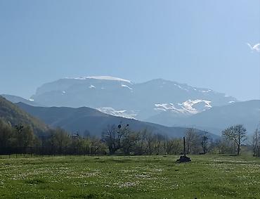 yeni emlak xirdalan: 30 sot, Tikinti, Maklerlər narahat etməsin, Kupça (Çıxarış) — 4