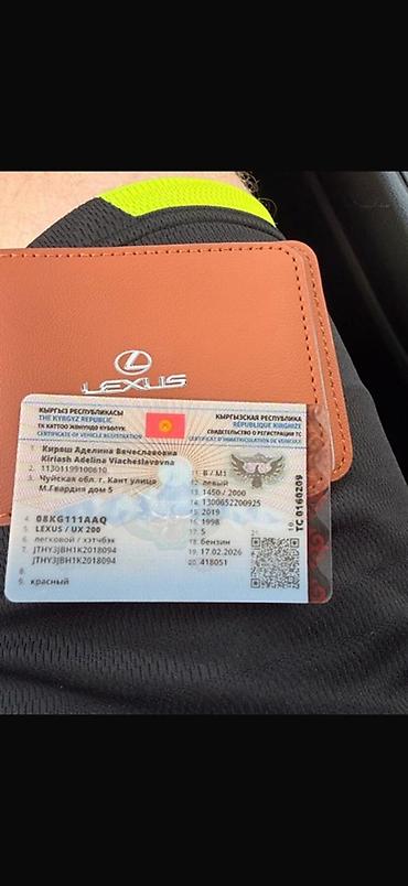 Lexus: Lexus UX: 2019 г., Кроссовер — 7