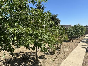 Həyət evləri və villaların satışı: 4 otaqlı, 160 kv. m, Kredit yoxdur, Yeni təmirli — 4