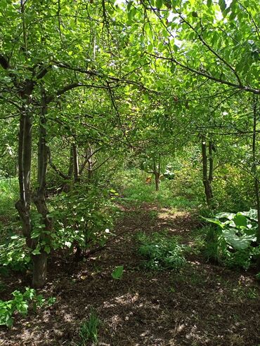 Продажа домов: Дом, 73 м², 3 комнаты, Собственник — 3