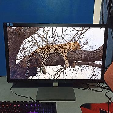 Мониторы: Монитор, AOC, Б/у, 23" - 24" — 13