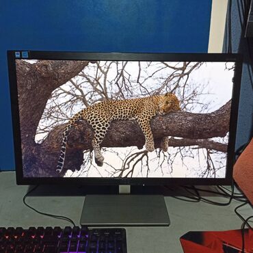 Мониторы: Монитор, AOC, Б/у, 23" - 24" — 9