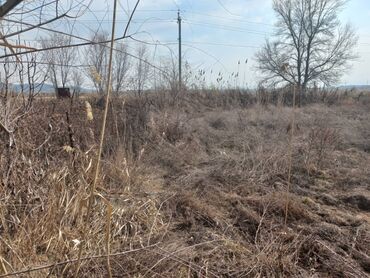 участка кок жар: 6 соток Для сельского хозяйства, Водопровод