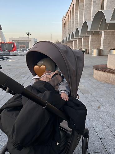 Коляски: Коляска «Anex flo»
Цвет кофе/коричневый — 22