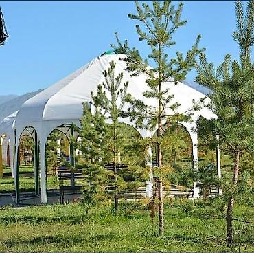 Продажа коттеджей и домов: 🏡 **Срочно продаю / меняю коттедж (Ыссык-Куль, Кожояр, Лагуна Сити)** — 17