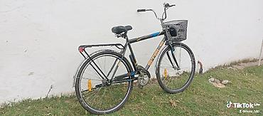 velo disk: Şəhər tipli Stels velosipedi - Gündəlik sürüş və şəhər içi yol üçün — 3