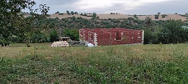 emlak.az sumqayit: 12 sot, Tikinti, Mülkiyyətçi, Kupça (Çıxarış) — 1