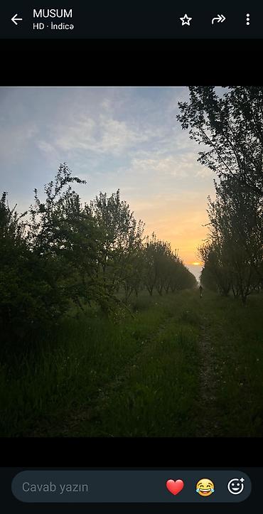 yasmada torpaq satilir: 200 sot, Mülkiyyətçi, Kupça (Çıxarış) — 3