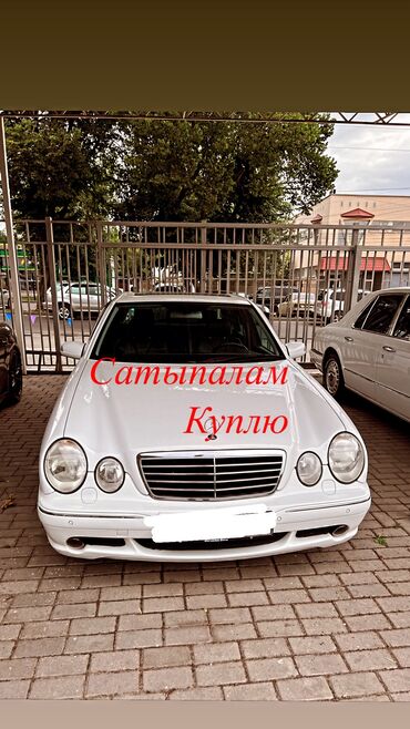 купить мерс 210 в бишкеке в Кыргызстан | Mercedes-Benz: Куплю 210 Милениум От 2000 года ТОЛЬКО БЕЛЫЙ ТОЛЬКО 4.3 Либо под