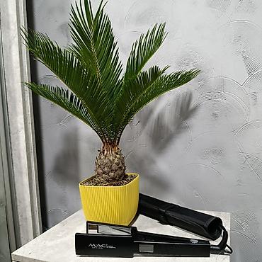 Другое: Brazilian Keratin,Bb one, Taninoplastia, Honma, Botox Состав — 9