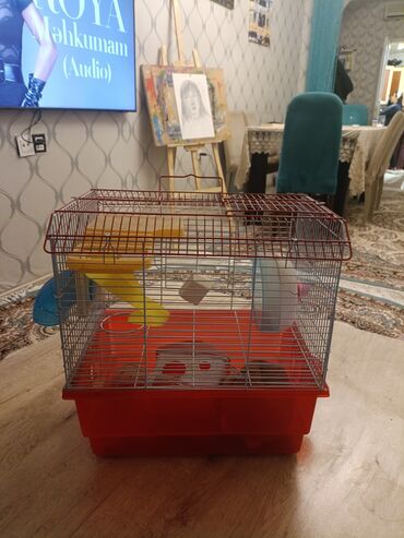 домики для хомяков: Xamyaka/kiçik gəmiricilər üçün qəfəs - Ölçü: orta həcmli, daşınması