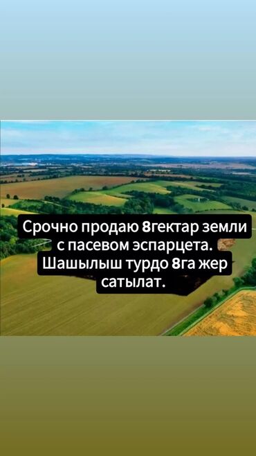 продаю дом калым ордо: 8000 соток, Айыл чарба үчүн, Техпаспорт, Сатып алуу-сатуу келишими, Үлүштүк катыш келишими