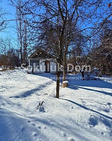 Продажа дач: 🏠Продается дачный дом в с. Саз (Вишенка) с прудом 🟡 Комнаты: 1 🟡 — 6