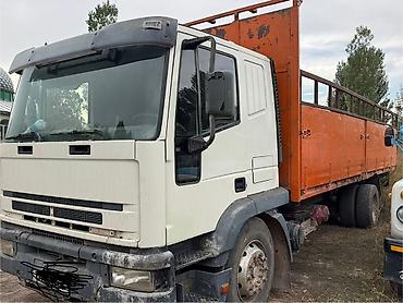 Iveco: Грузовик, Б/у — 2