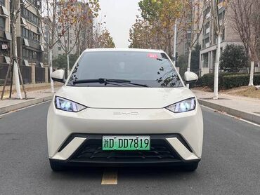 BYD: BYD Seagull: 2023 г., Электромобиль, Хэтчбэк — 1