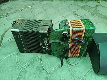 Баяны: Осталась гармонь — 5