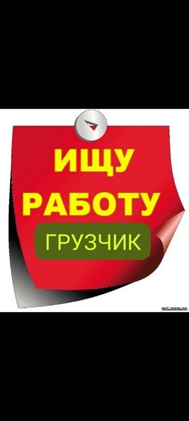 Портер, грузовые перевозки: Ищу работу