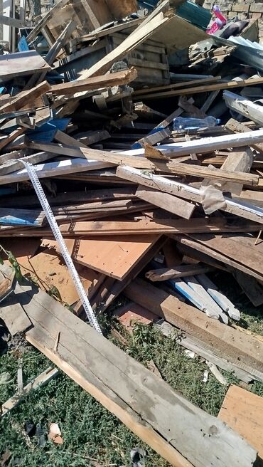 отдам алабая в хорошие руки: Драва