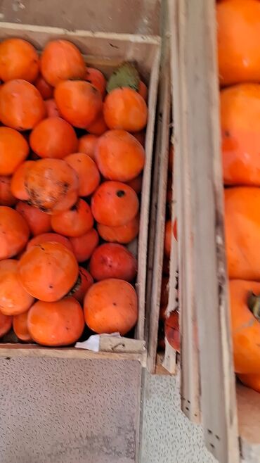 Meyvə və giləmeyvə: Məhsul: Öz bağımızdan Xurma . Ağdaş Xurması. Qiyməti - 0.70. Çox — 9