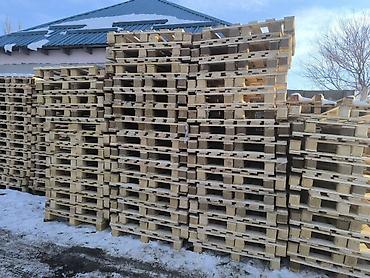 Поддоны: Поддон В наличии — 4