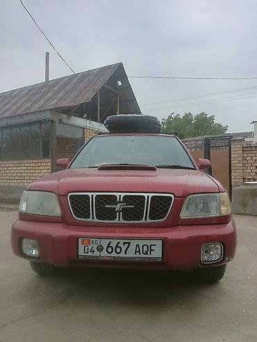 Subaru: Subaru Forester: 2000 г., 2 л, Автомат, Бензин, Универсал — 5