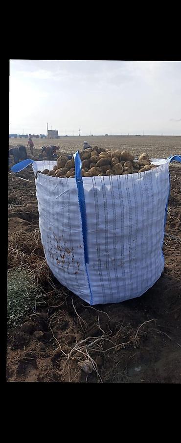 plasmas çən: Məhsul: Polipropilen Big-Bag (FIBC) torbalar Təsvir: - Material — 3