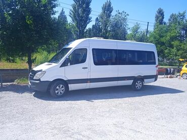 Трансфер, пассажирские перевозки: Бус | 18 мест — 11