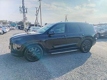 силк вэй: Hyundai Palisade: 2020 г., 2.2 л, Автомат, Дизель, Кроссовер — 2