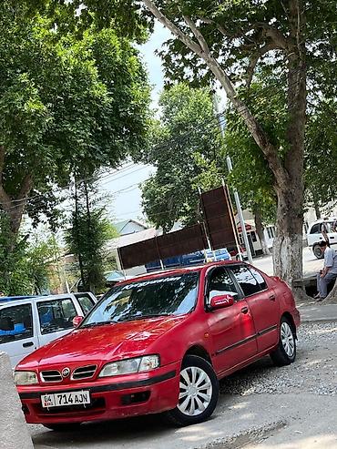коса купить: Nissan Primera: 1997 г., Седан — 2