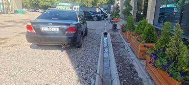 купить машину шевроле: Toyota Camry: 2004 г., 2.4 л, Автоматические, Бензин, Седан