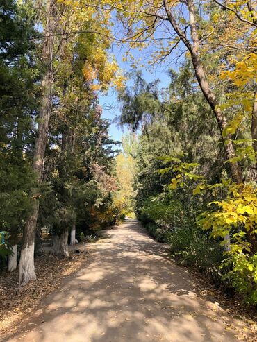 Продажа квартир: 2 комнаты, 43 м², 104 серия, 2 этаж — 14