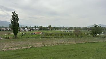 Продажа участков: 78 соток, Для сельского хозяйства — 1