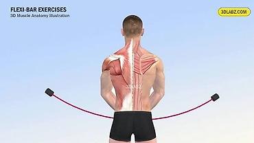 Flexi Bar - məşq aləti Məhsul təsviri: - Elastik vibro-çubuq bədən — 3