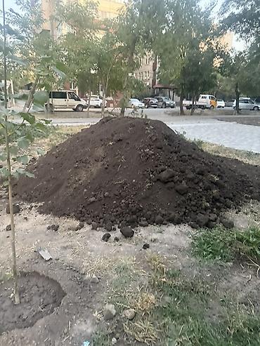 Үй жана бакча үчүн бардык: Тонна менен, Акысыз жеткирүү, Акылуу жеткирүү, Зил, Камаз — 3
