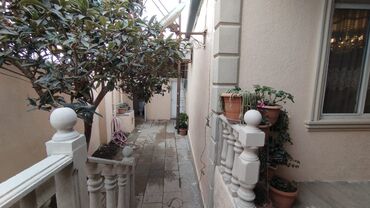 Həyət evləri və villaların satışı: 1 otaqlı, 120 kv. m, Yeni təmirli — 14