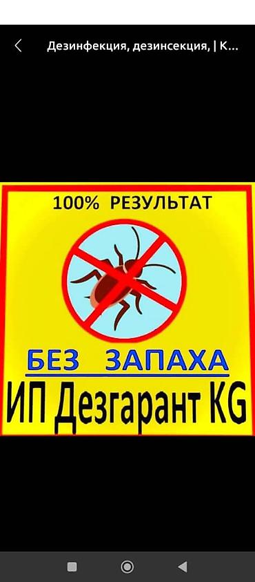 чистка батареи отопления: Профессиональная дезинфекция и дезинсекция - Уничтожение всех видов — 9