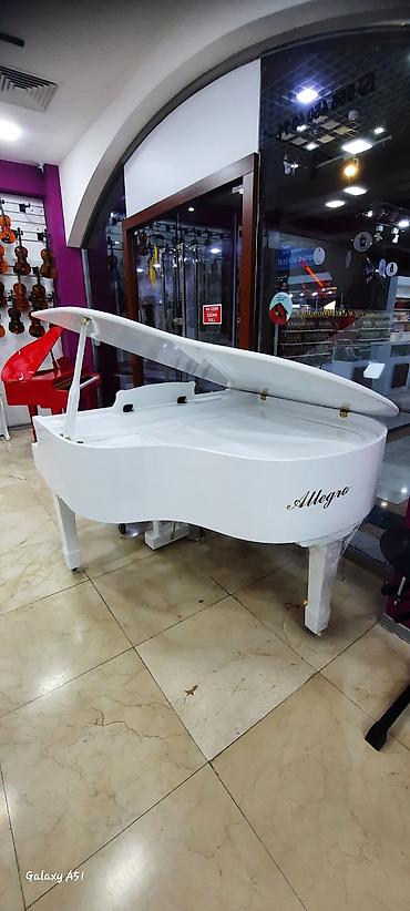 Musiqi alətləri: Elektro piano "Allegro" Royal royal ✅ Bir kart və Tam kartla 12, 18 — 6