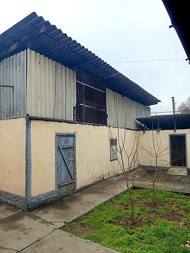 Продажа коттеджей и домов: Продается участок с домом, центр с. Новопавловка, 9 соток, район рынка — 12